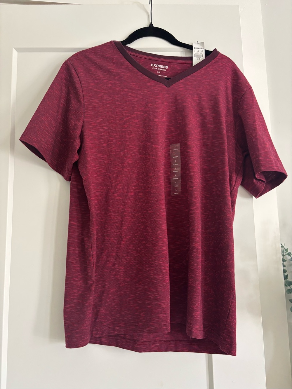 Express Men's Short-Sleeve V-Neck T-Shirt in Heathered Burgundy